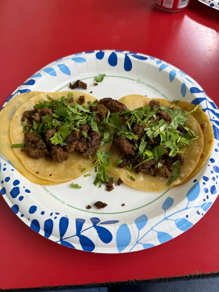 Two La Palma tacos topped with fresh cilantro